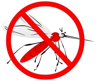 mosquitos, micheles hide-away screens, prevent